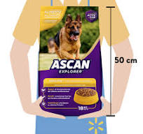 ascan